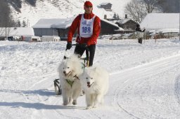 Lenk 2012 SM